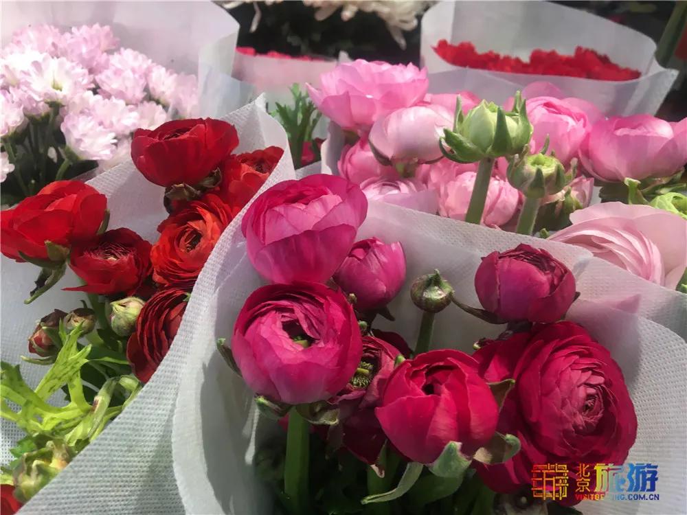 京南永清花卉批发市场,京南花卉批发市场