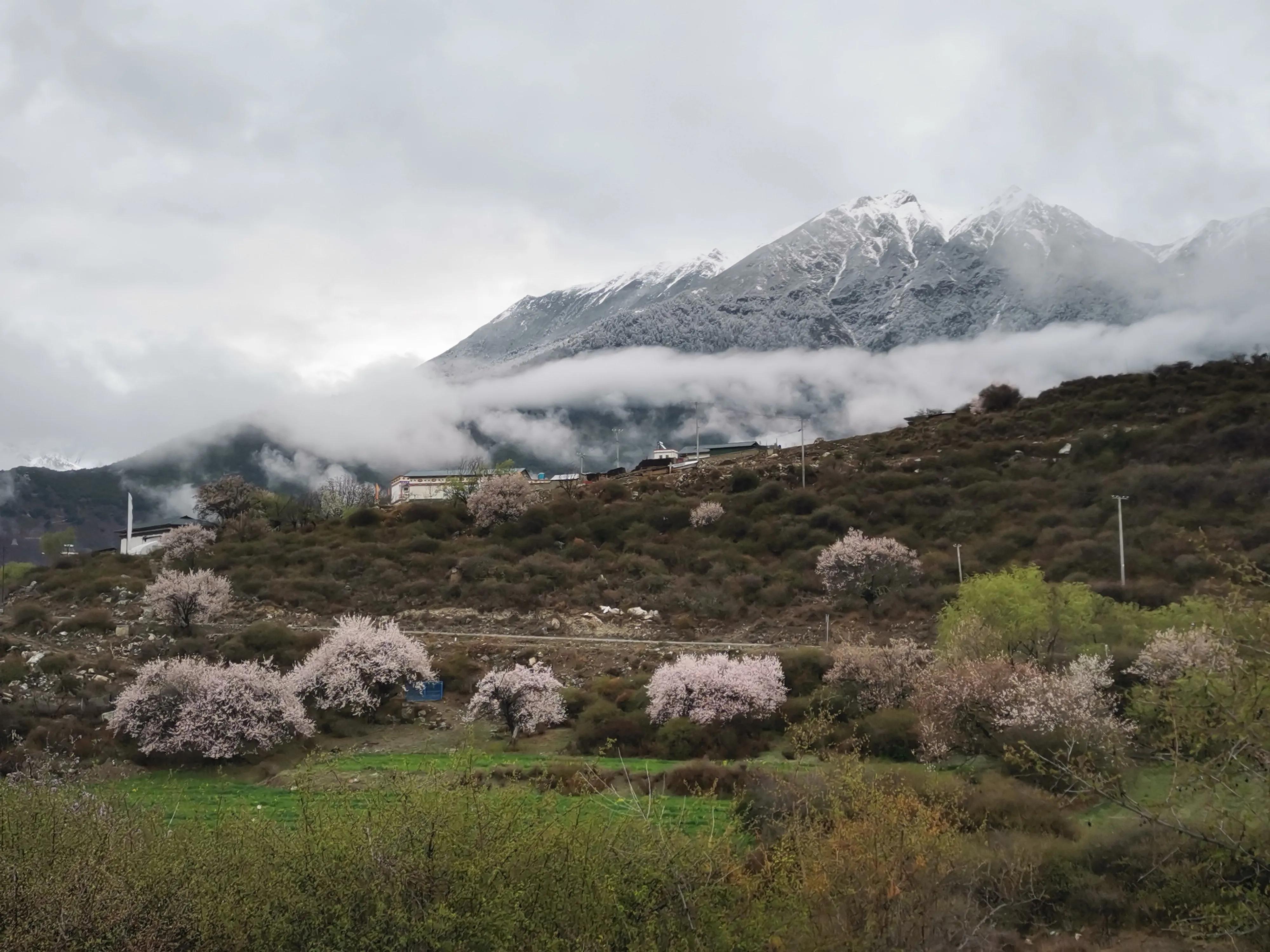 旅游那些事脱口秀,旅游那些事