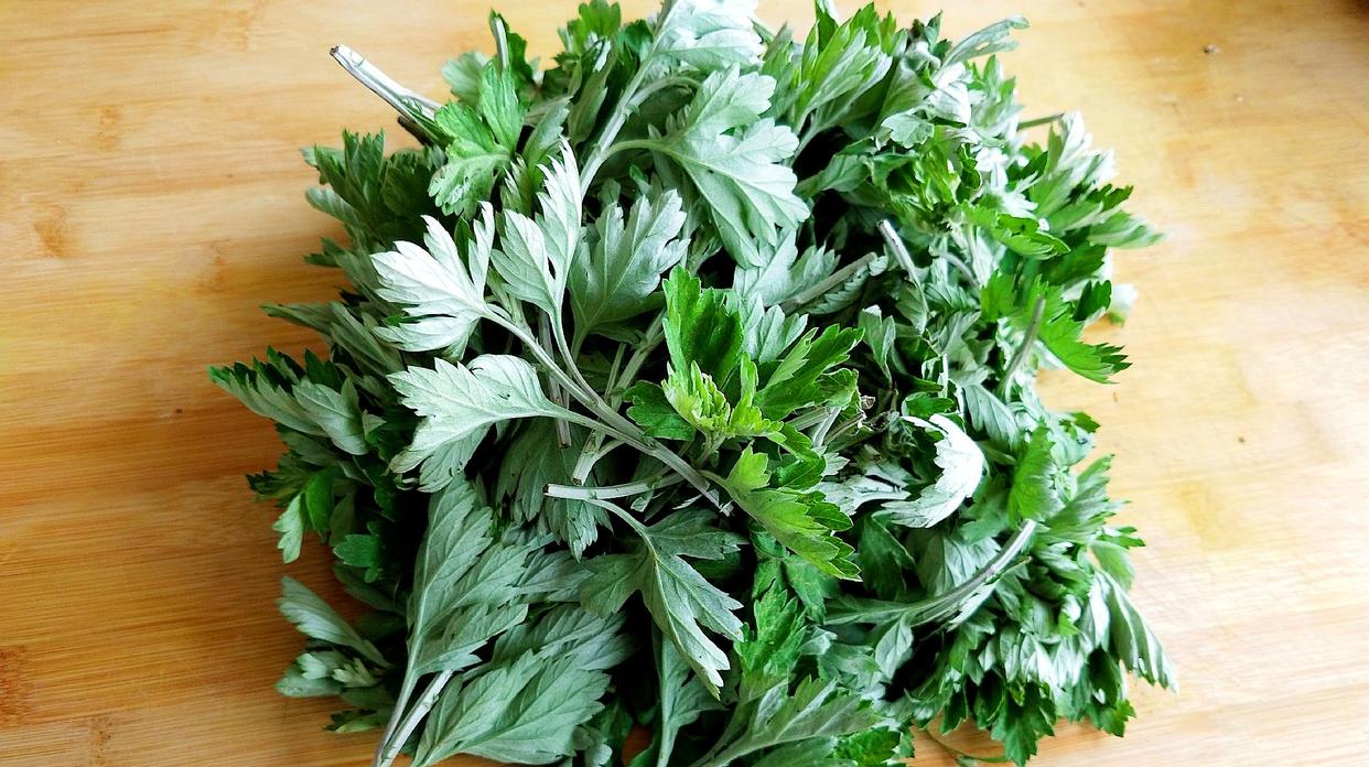 艾叶怎么祛除湿气效果好,艾叶怎么吃可以祛除身上的湿气