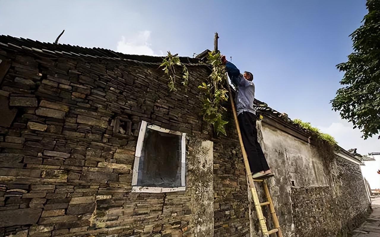 鸣鹤古镇年糕,鸣鹤古镇游玩攻略一日游