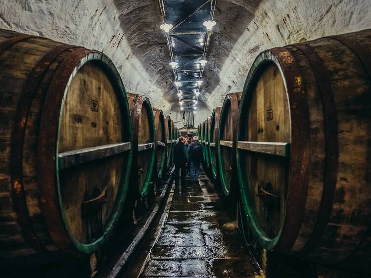 德国慕尼黑推荐啤酒馆,慕尼黑喝啤酒最好的地方