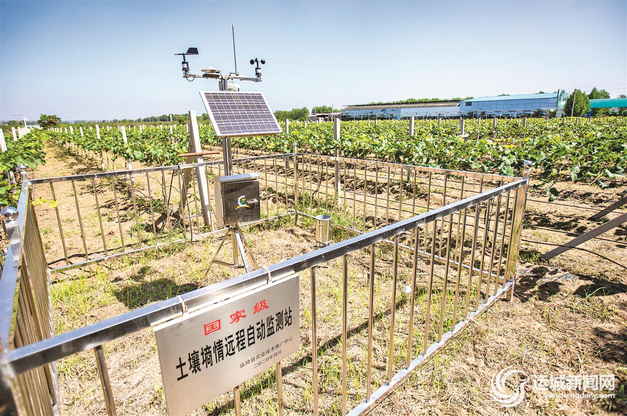 山西好普生庄园农业科技有限公司：“六新”让农业更“特”更“优”