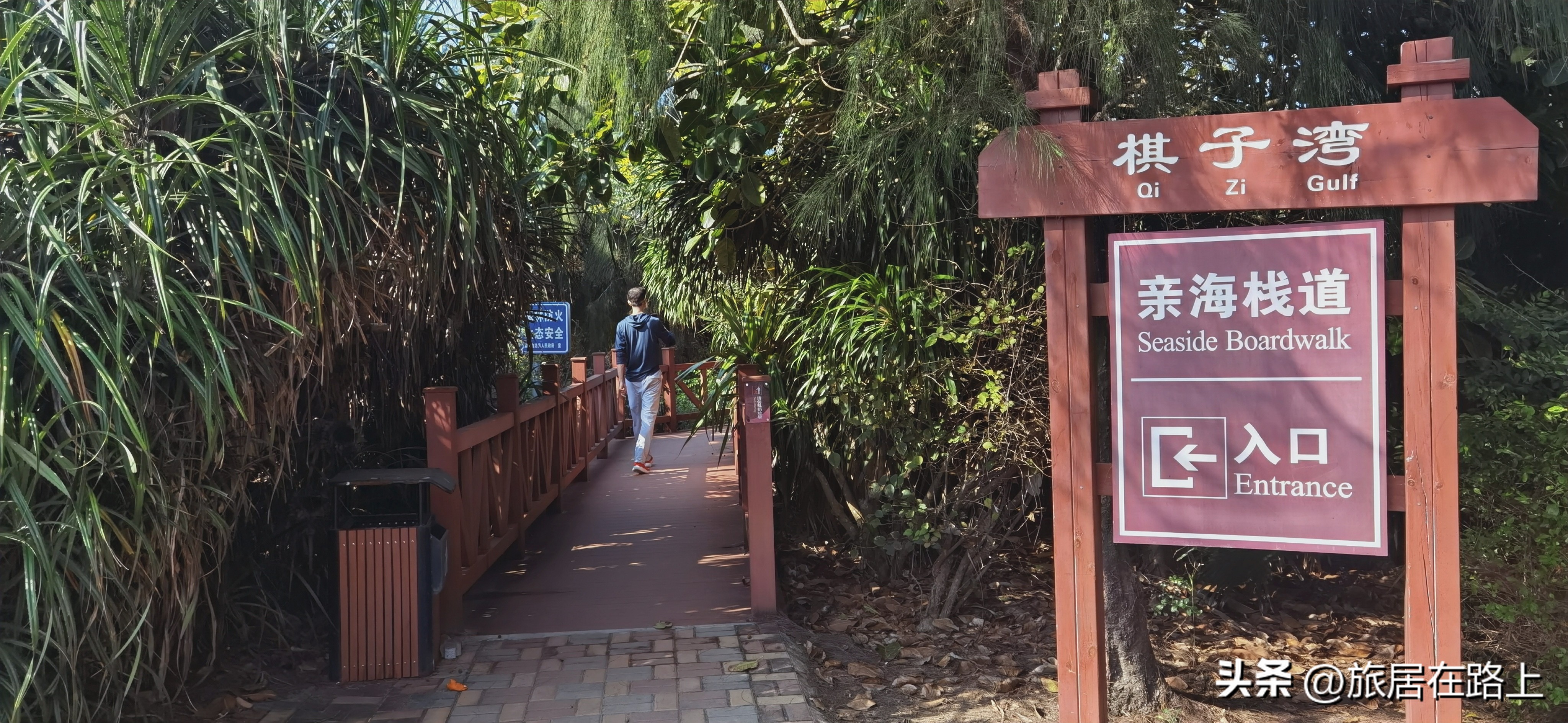 棋子湾上的仙人掌,海南棋子湾旅游攻略一日游