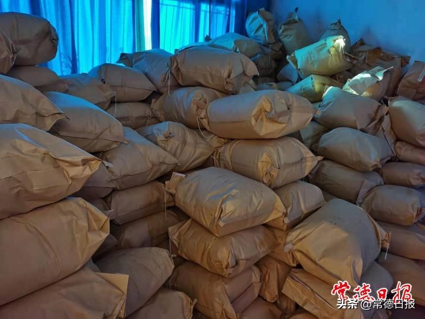 乡村振兴沅澧行,乡村振兴沅澧行介绍