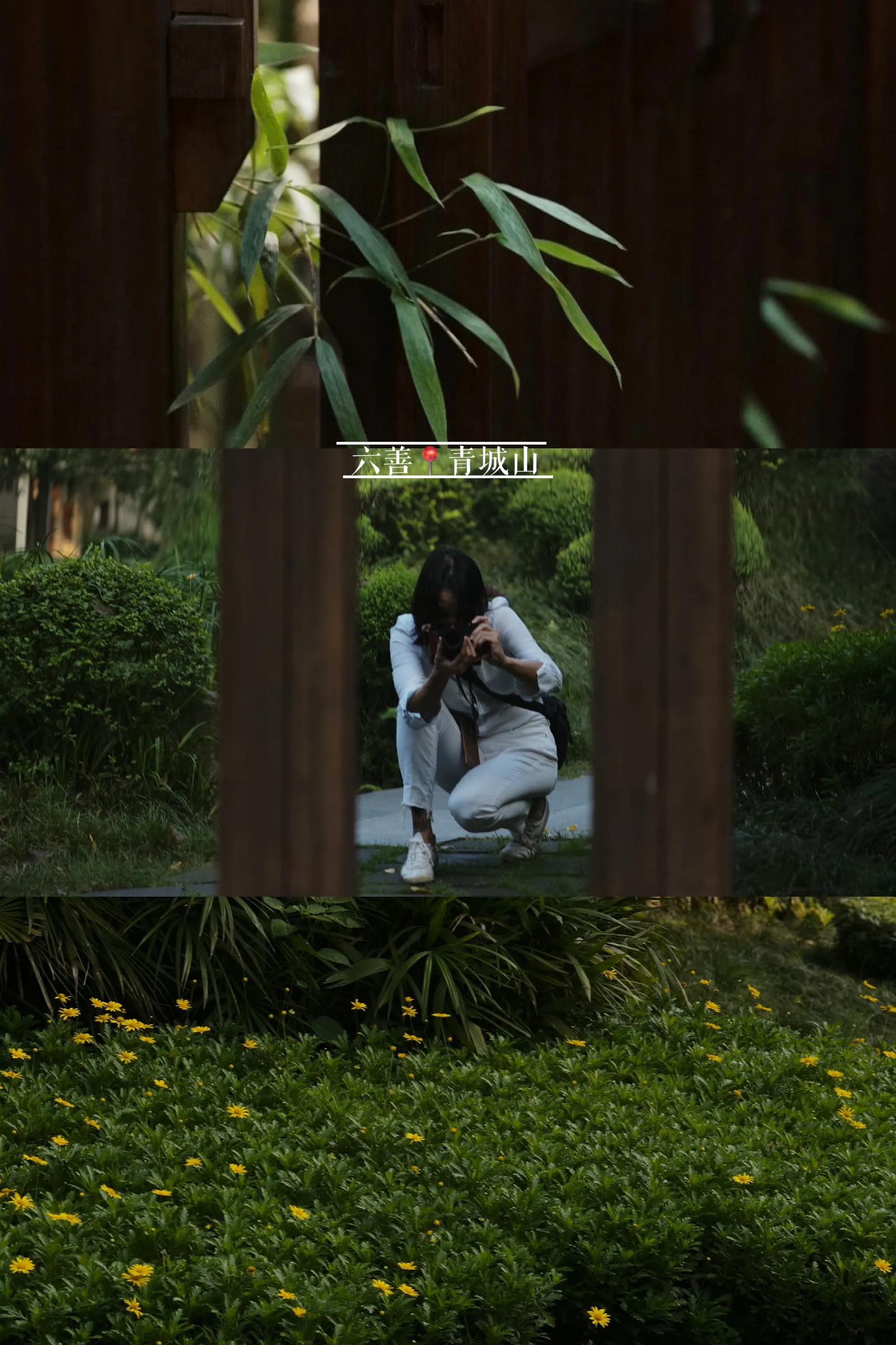 青城山六善度假酒店视频,青城山六善度假酒店