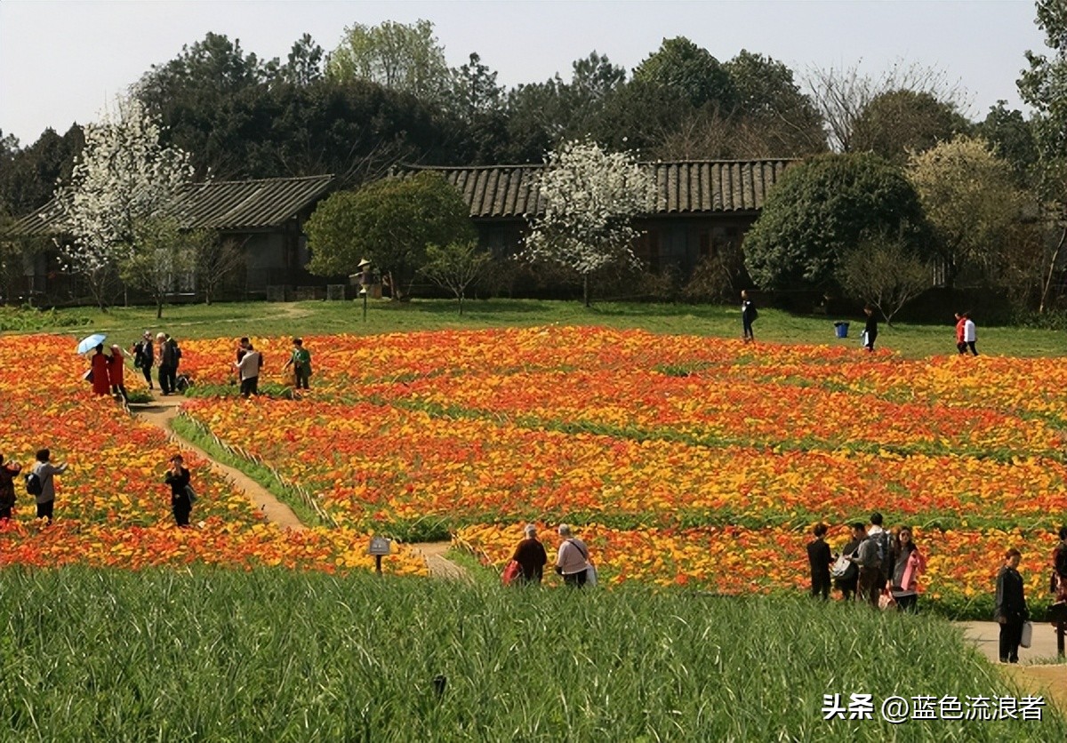 四川这座城市怎么样,四川这个省好吗