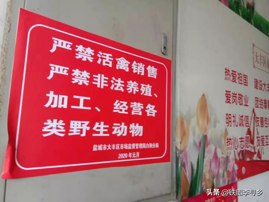 当代农民，勤劳致“穷”，有5条现实逻辑？