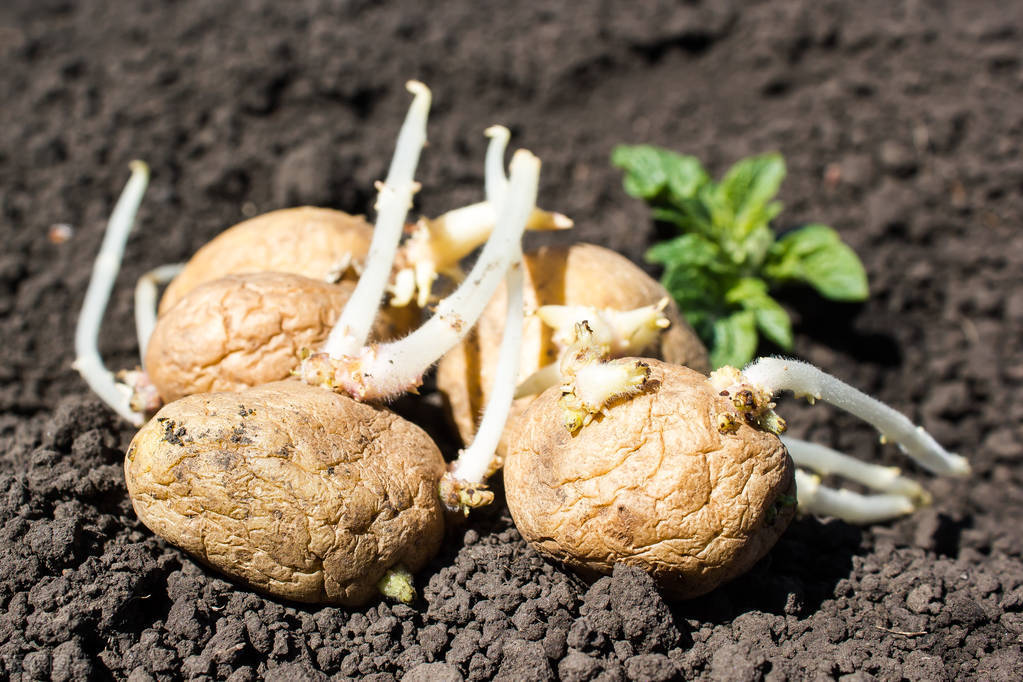 马尔代夫现实视频,马尔代夫最新现状视频