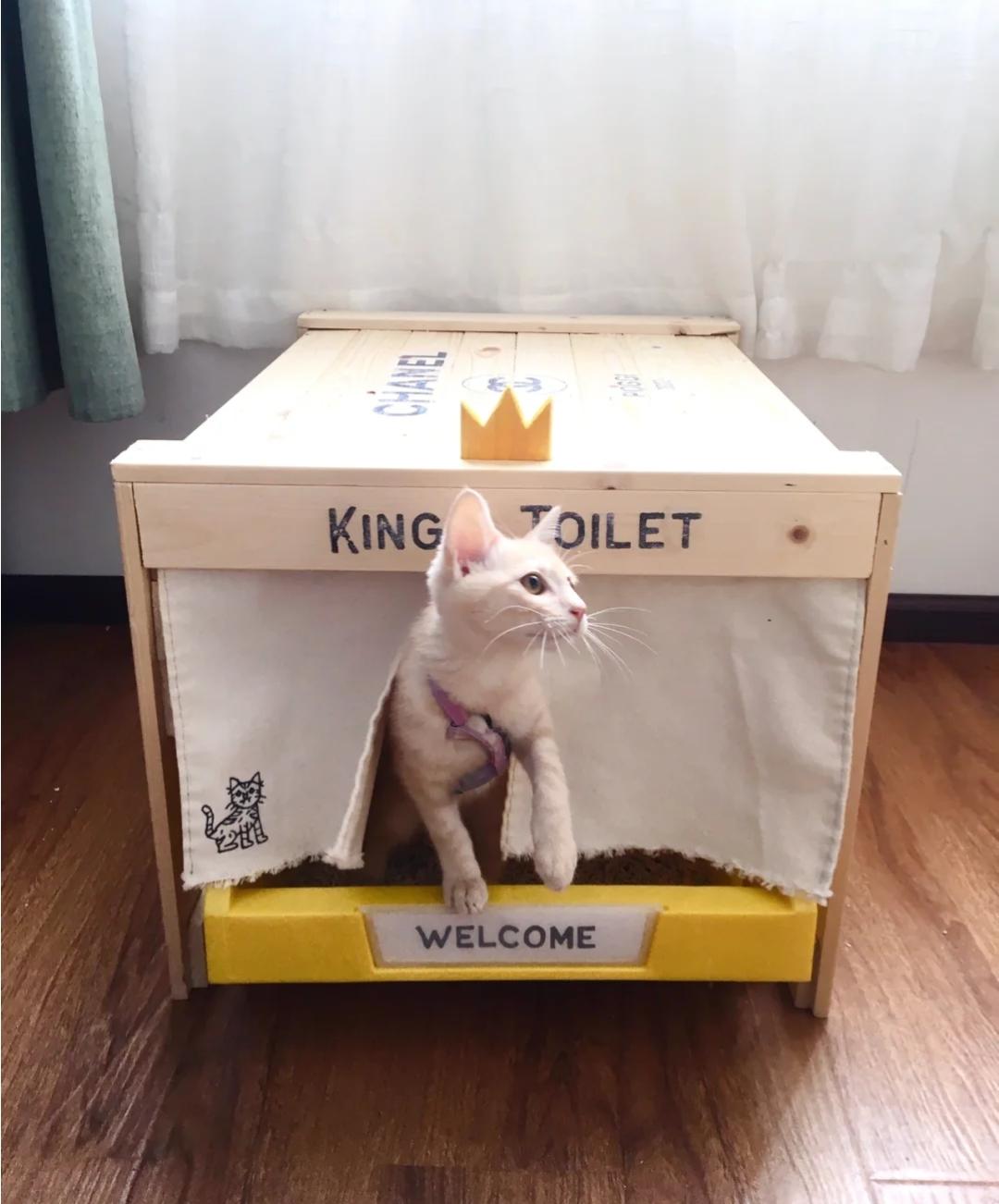 网购省钱的5个小绝招,网购学会这些省钱关键词