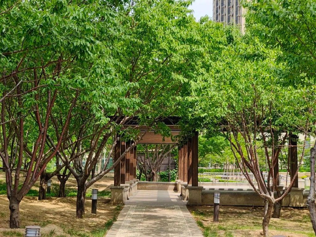 谁是影像机皇,谁才是手机机皇