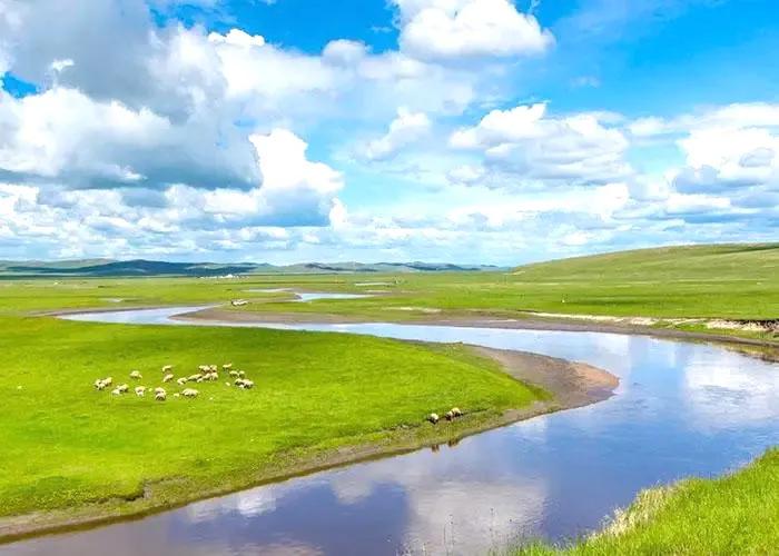 中国羊肉大全,全国各地顶级羊肉