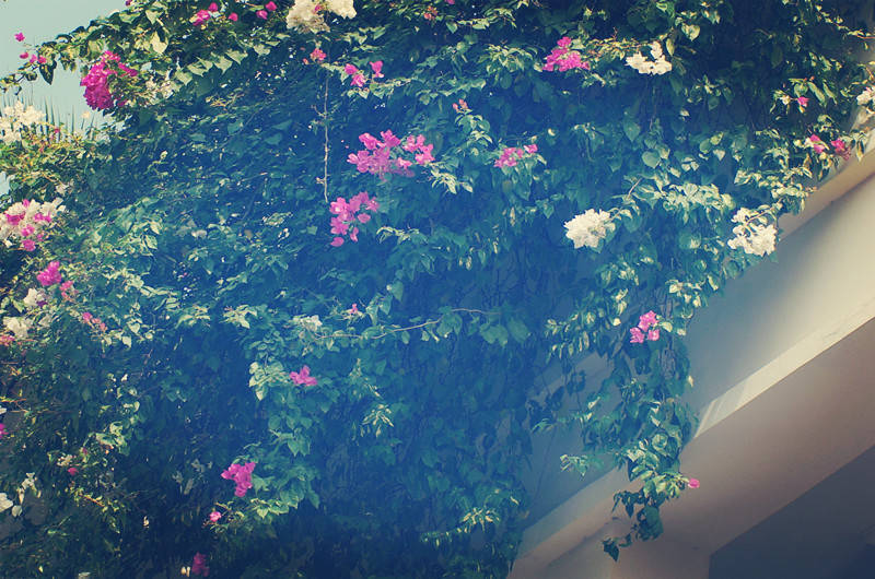 最漂亮的十所海边大学,中国海边的大学