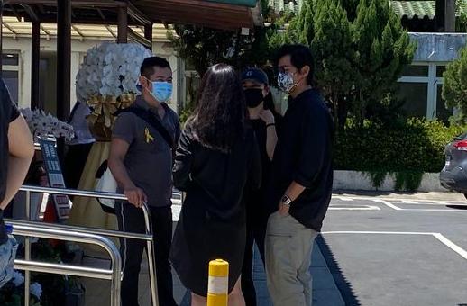 七朵花陈乔恩早期照片,陈乔恩七朵花视频