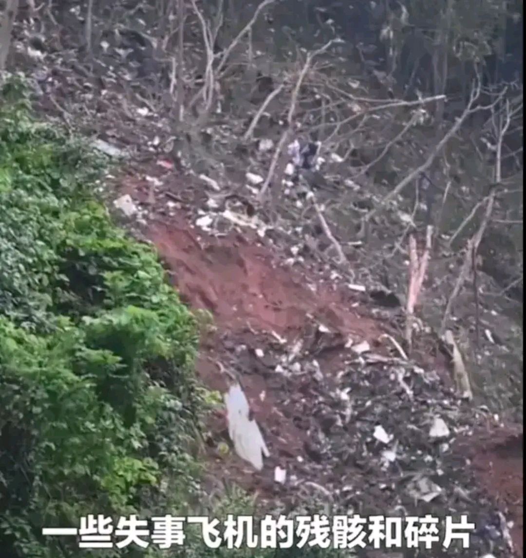 东航波音737到底为什么坠机,东航波音737以前视频