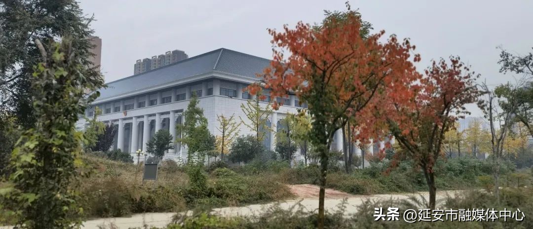 陕西宾馆迎来最佳观花赏景季节,陕西宾馆内景色