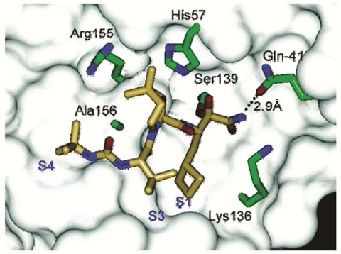 鸡为什么是蝎子的克星,鸡为什么是虫子的天敌呢