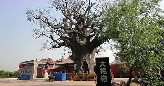 湖广填四川麻城有多少人,湖广填四川的麻城孝感乡是哪里