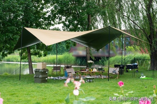 赌博人生合集,赌博人性