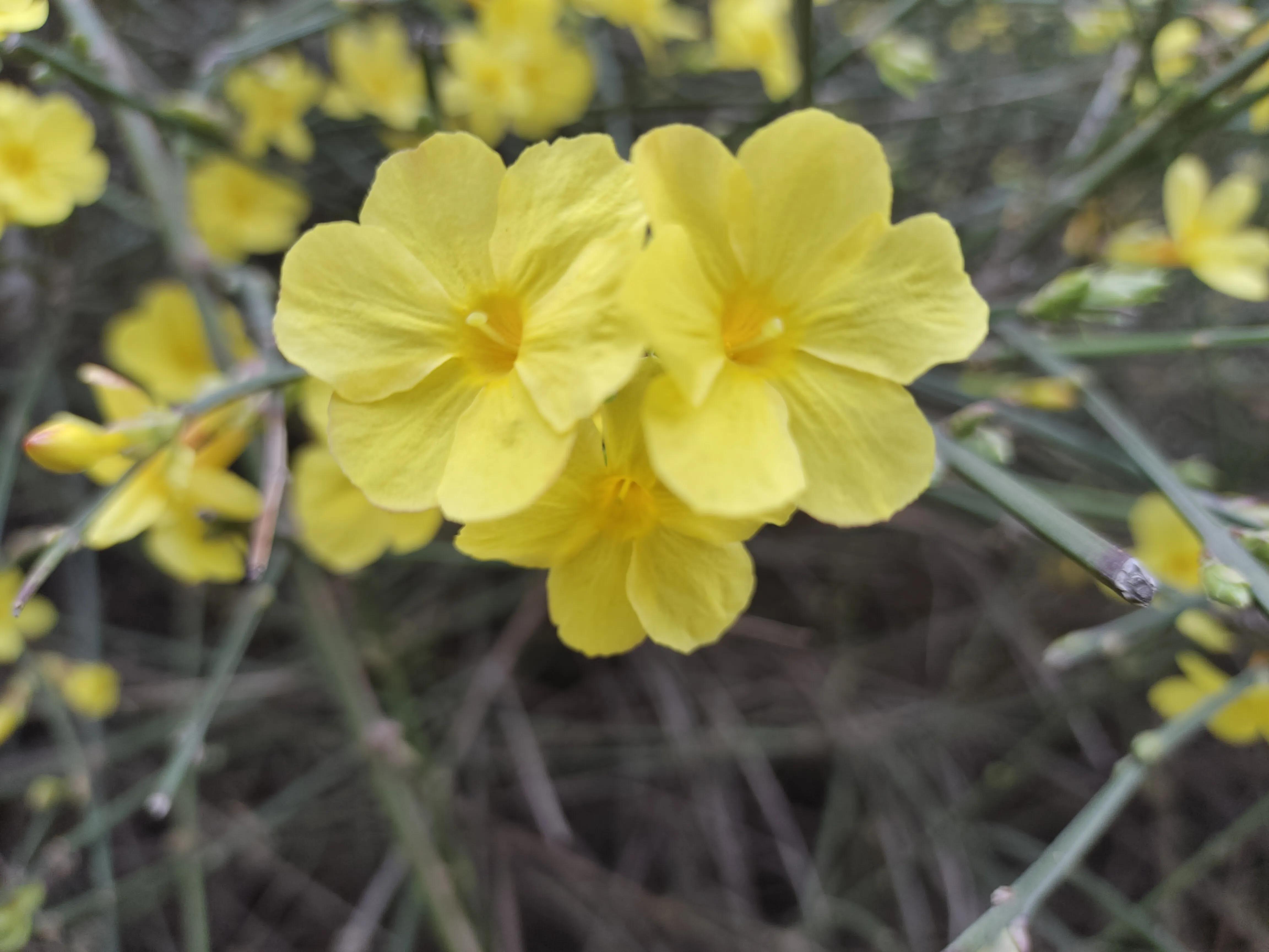 微信退群告别语,微信退群恢复