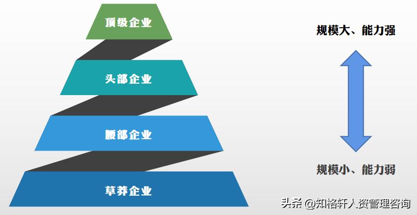 刘润进化论合理吗,刘润年度演讲未来靠技术