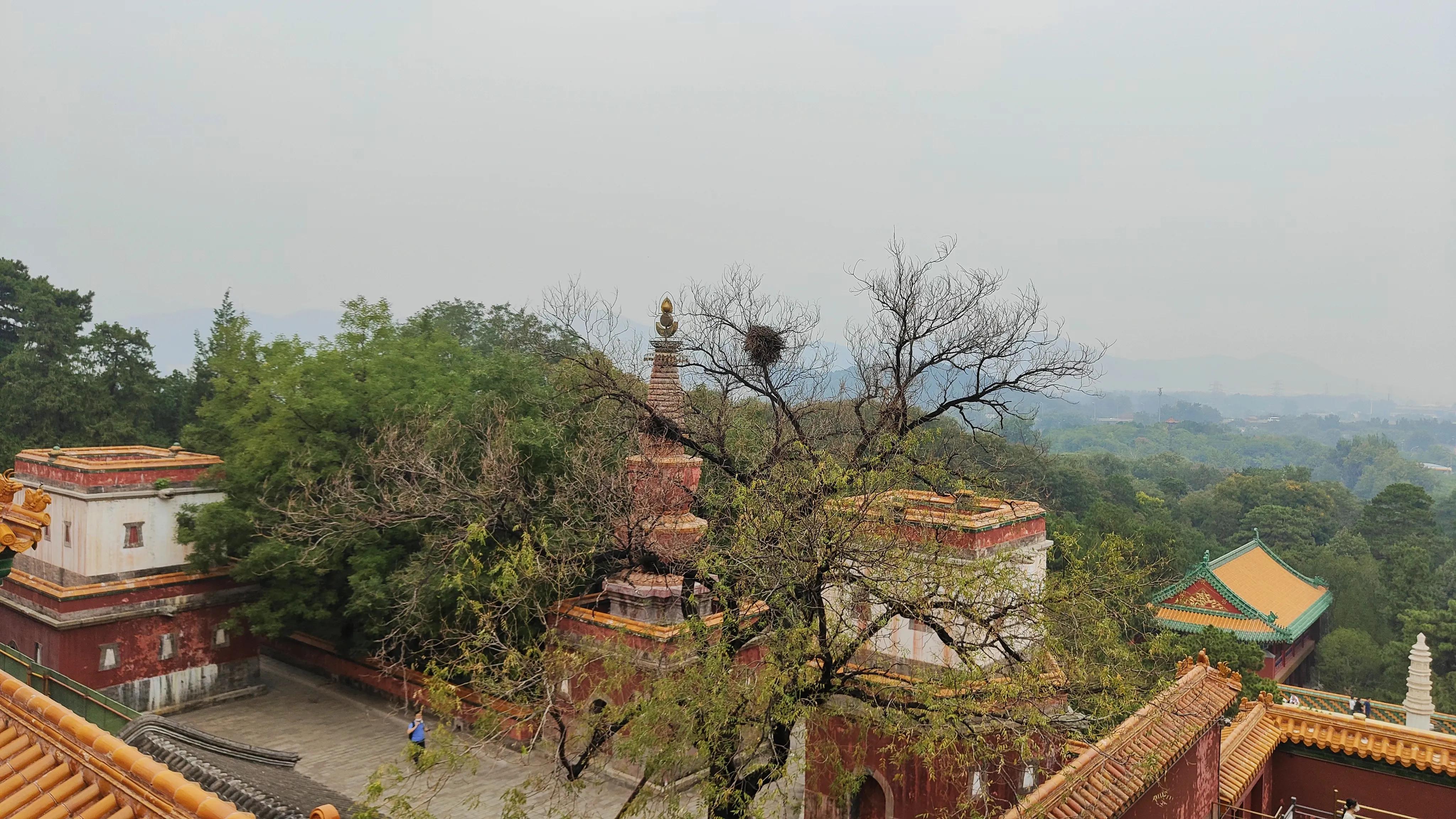 颐和园全程导游讲解词,颐和园景点讲解导游词