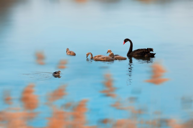 处女座和所有星座的匹配度排行,十二星座处女座能不能考上大学