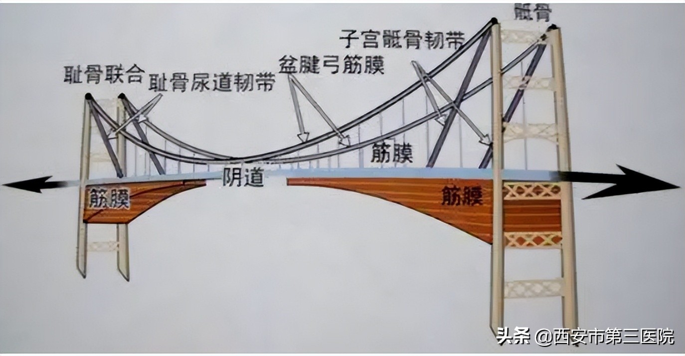 关爱产后妈妈｜帮您了解产后康复