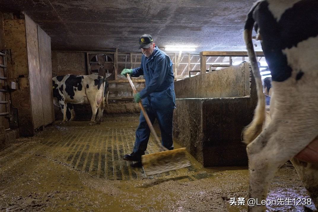 奶农加什么变成三聚氰胺,奶农怎么销售