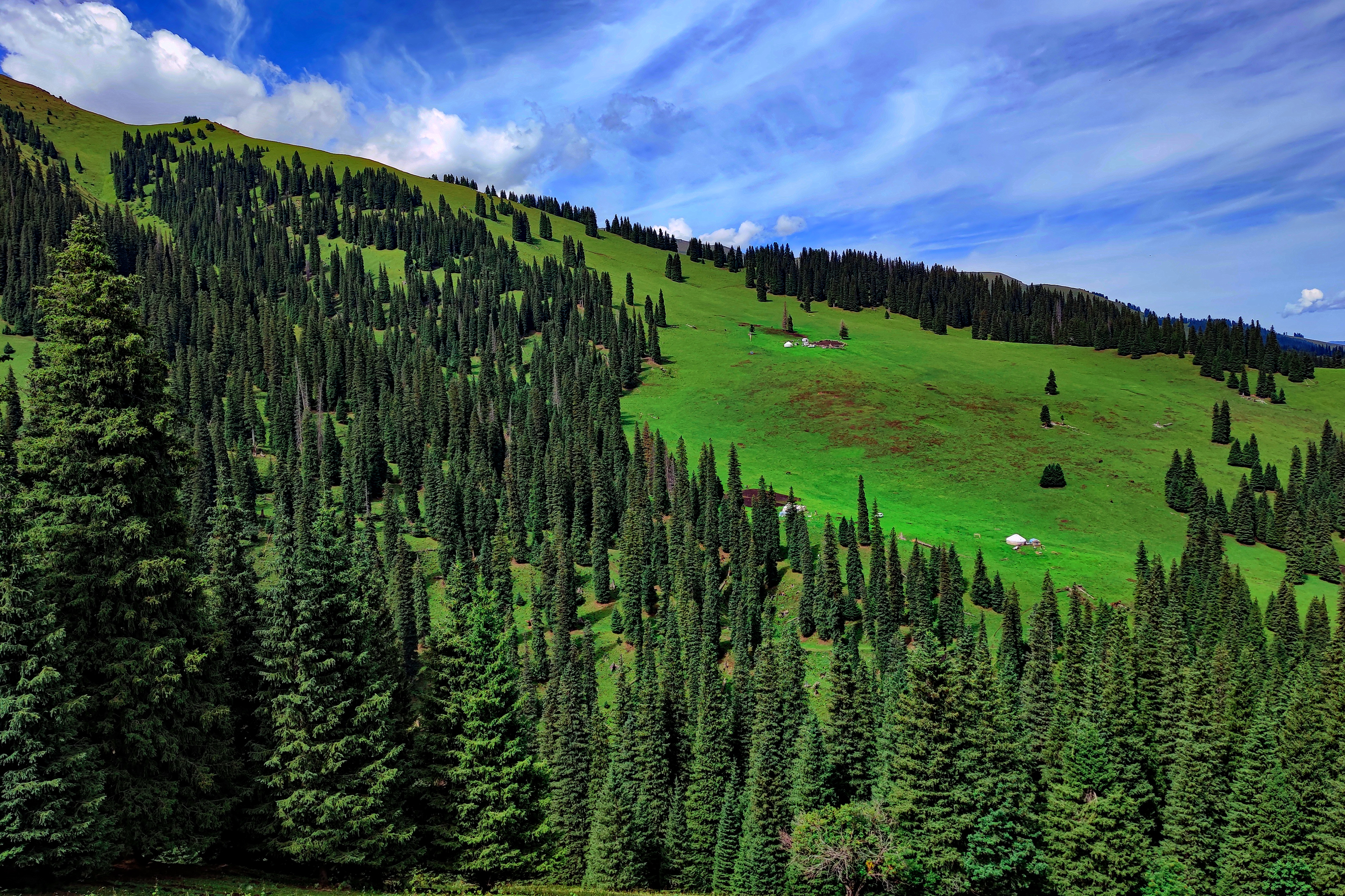 伊犁那拉提草原玩的有啥,伊犁那拉提草原是几级旅游景点