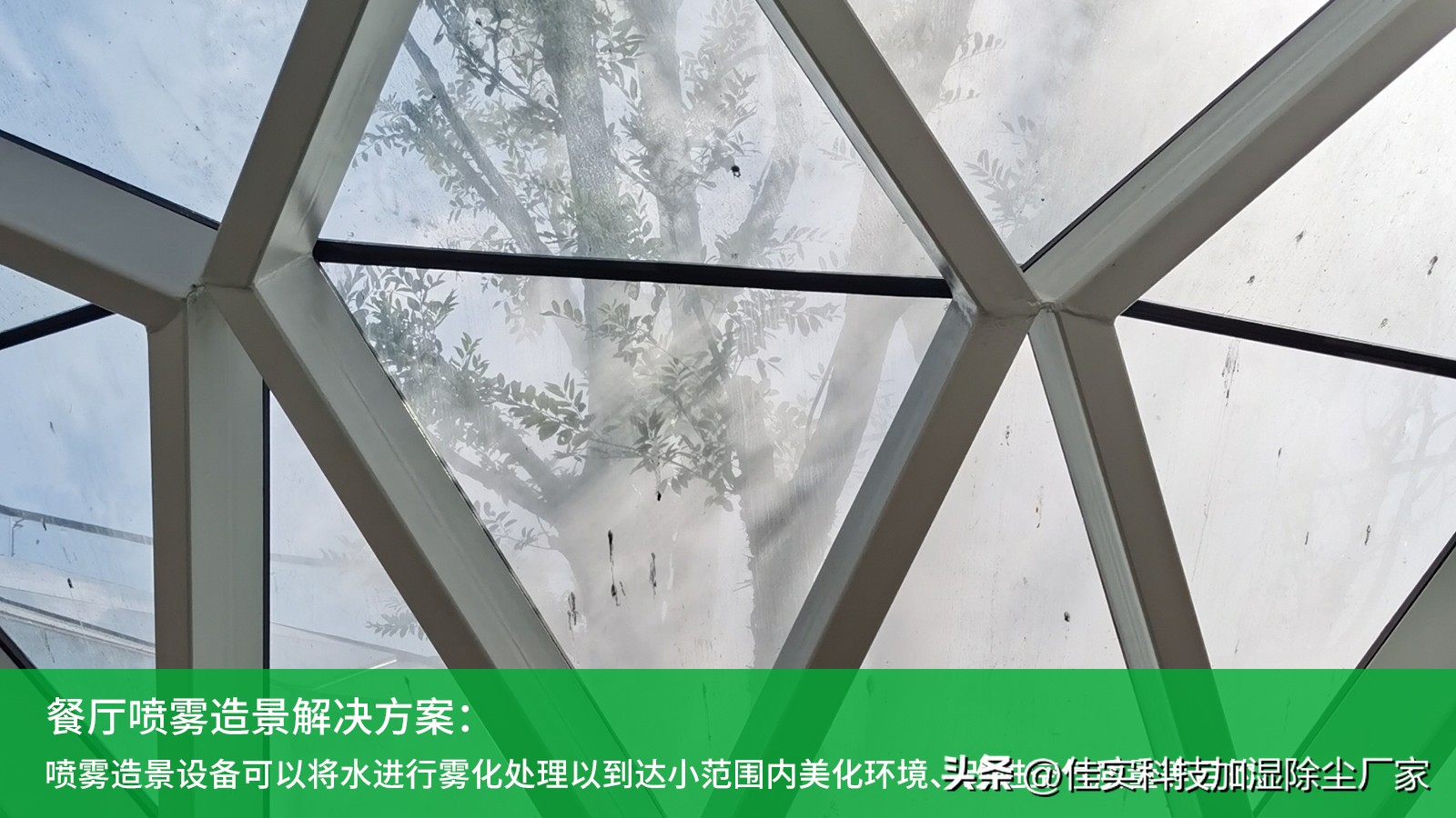 餐厅死角造景效果,生态餐厅景观效果图