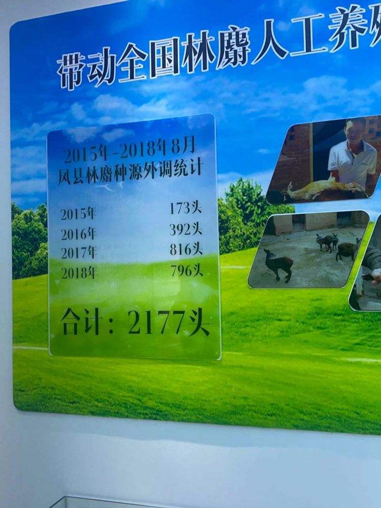 以点带面促营销,以点带面是什么效应