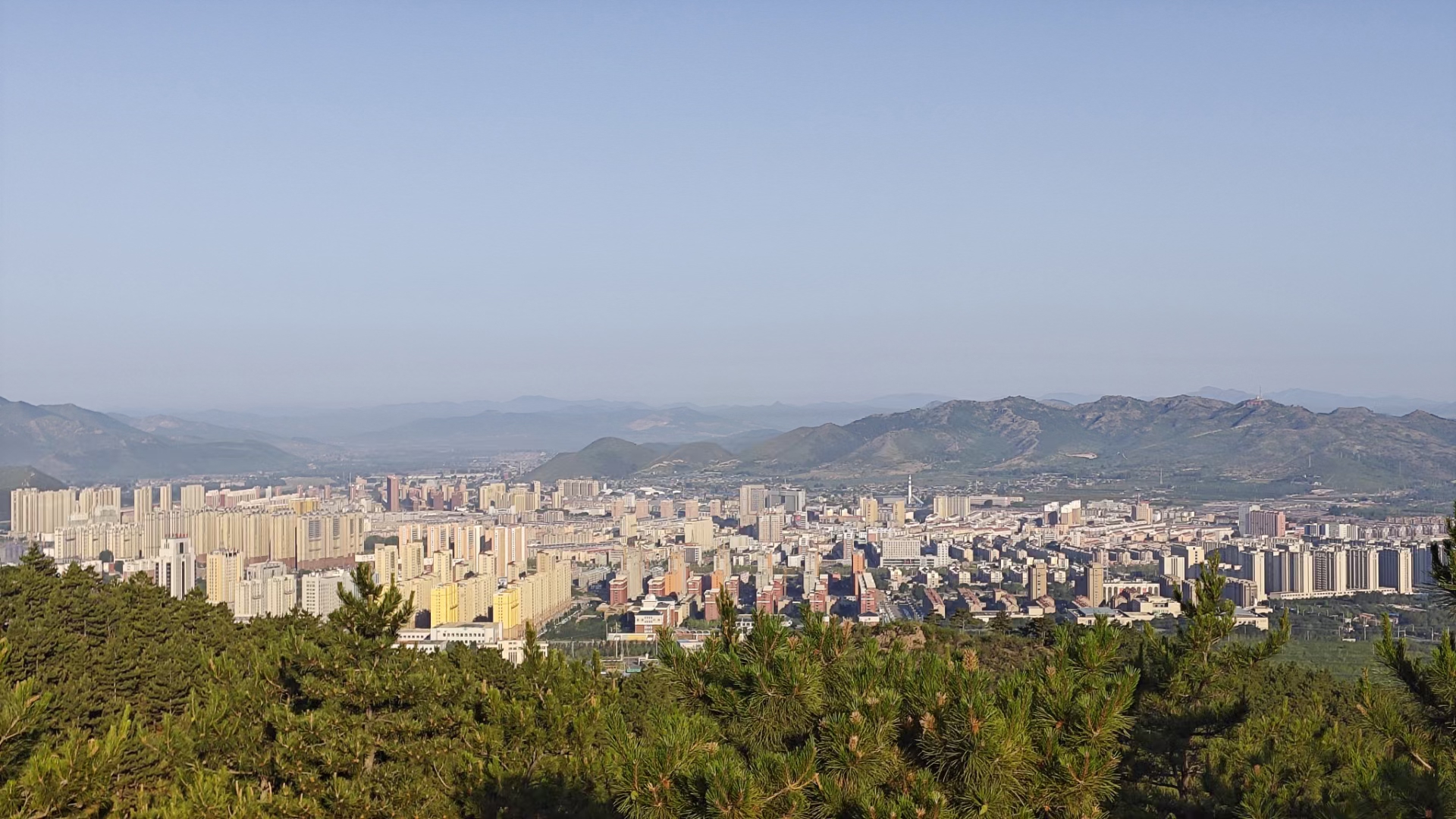端午节艾草节,五月端午艾草香
