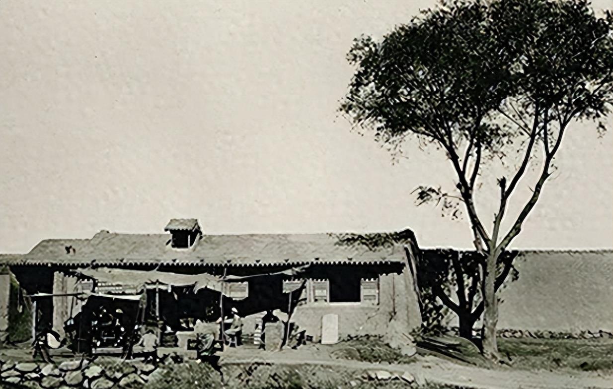 他把现金堆成山，高调捐款20亿后“消失”，如今出现在家种地？