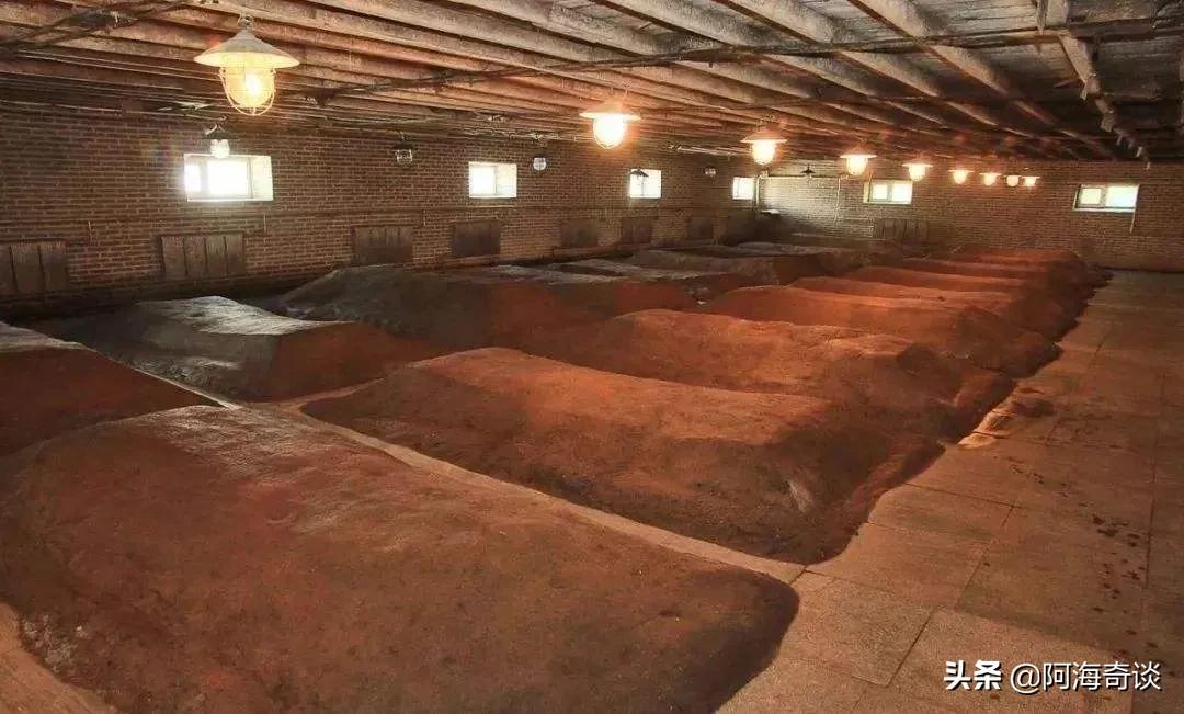 洋河股份和苏酒集团什么关系,洋河为什么打造贵酒集团