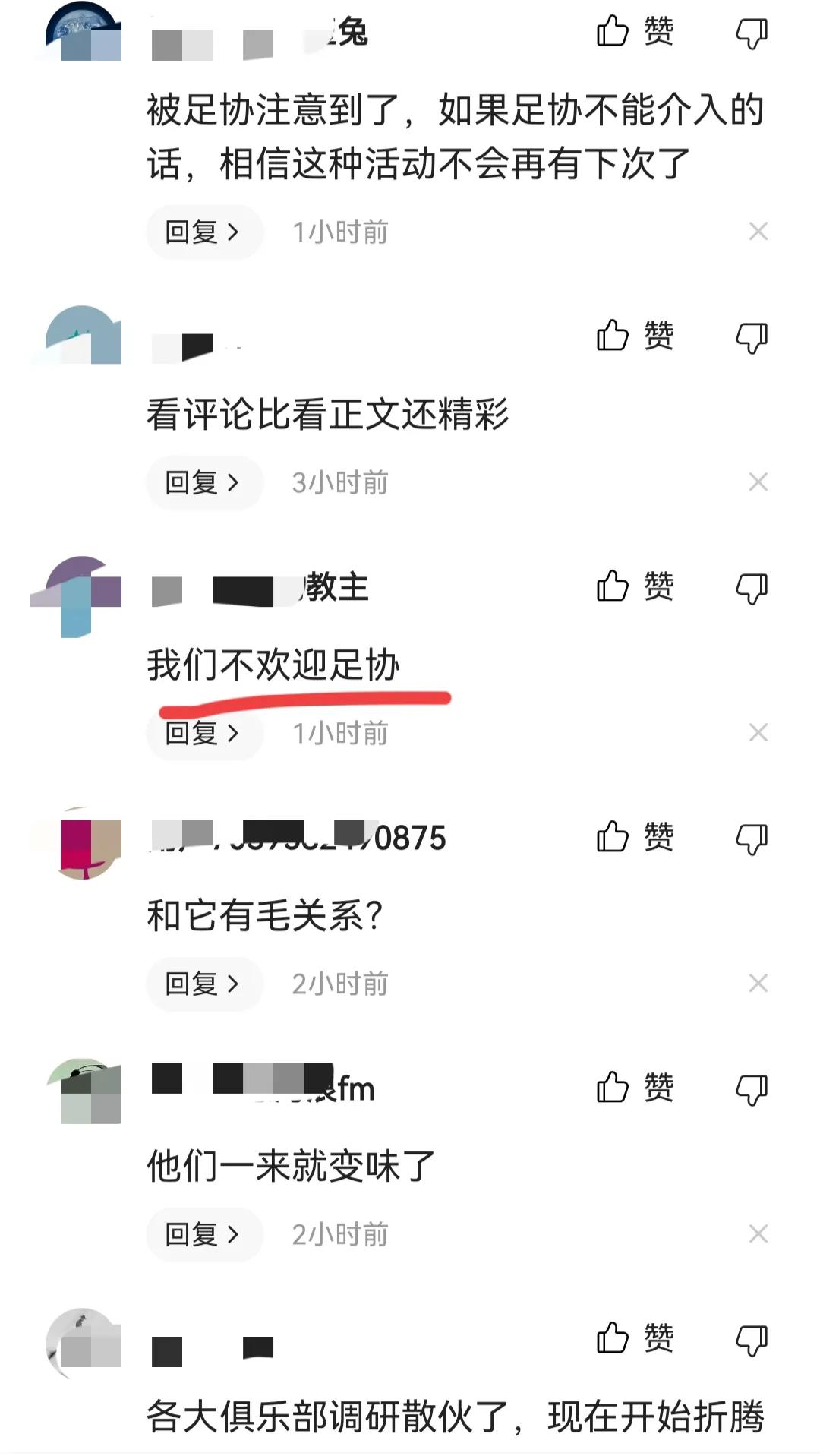 华春莹为“村超”点赞，足协想到“村超”调研，网友：不欢迎。