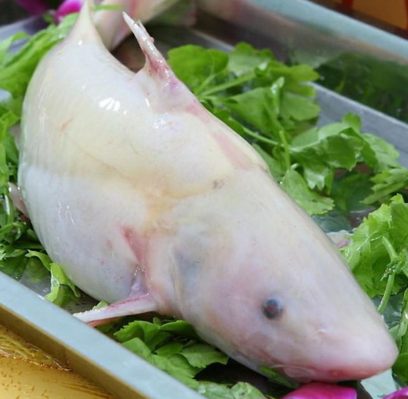 宜昌老街美食街,宜昌特色美食大揭秘