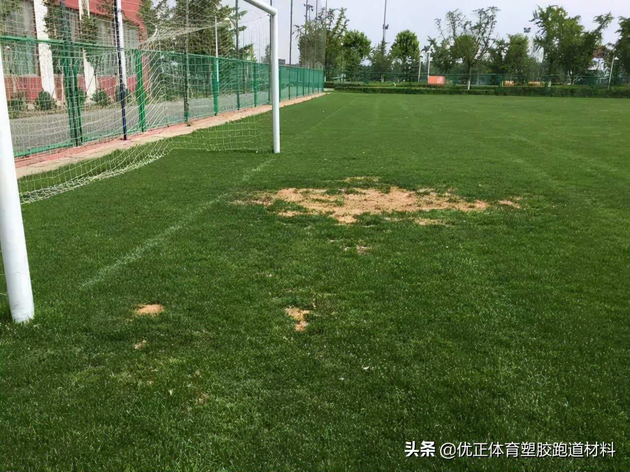 学校的足球场是人造草坪吗,学校足球人造草坪哪种好