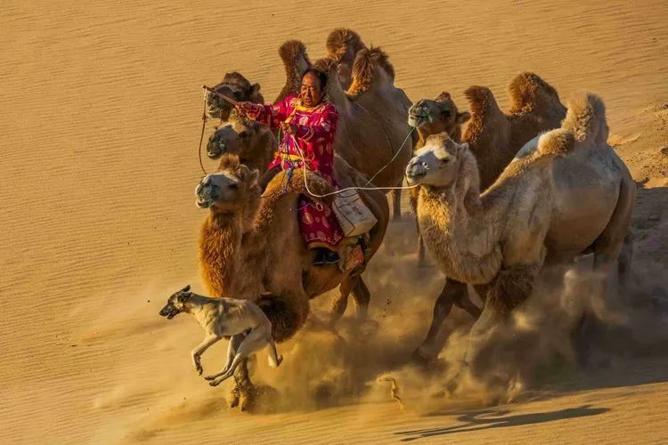 内蒙奈曼旗宝古图沙漠摄影,内蒙古古祭敖包