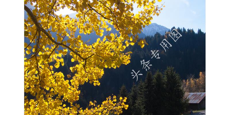 几岁男孩和父母分开睡最好,叛逆期男孩要求和父母分房睡