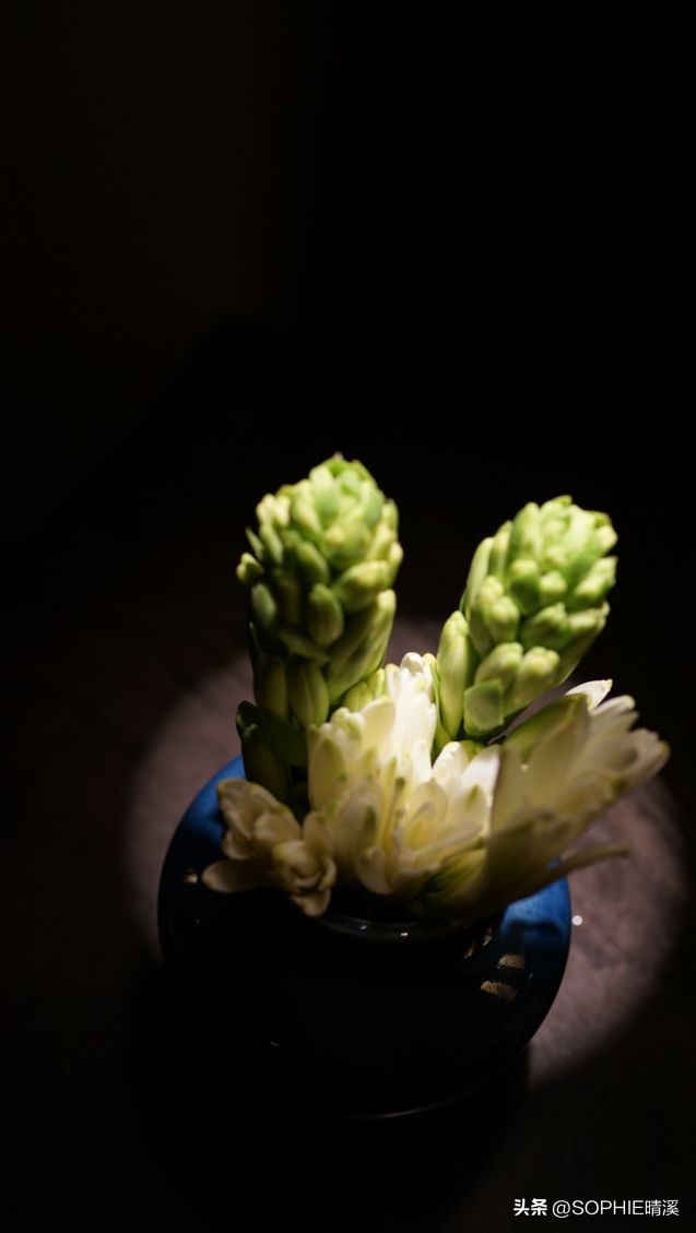 从广州到越南胡志明要多长时间,从广州到越南河内坐飞机几个小时