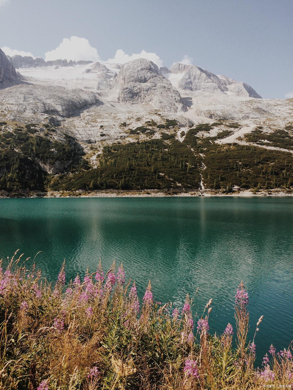 尼康d7100好不好用,新手入手尼康d7100好吗