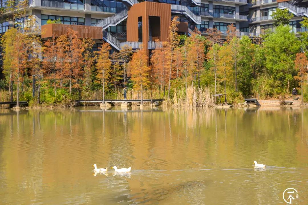 深圳4个绝美海岛,深圳值得游玩的小岛