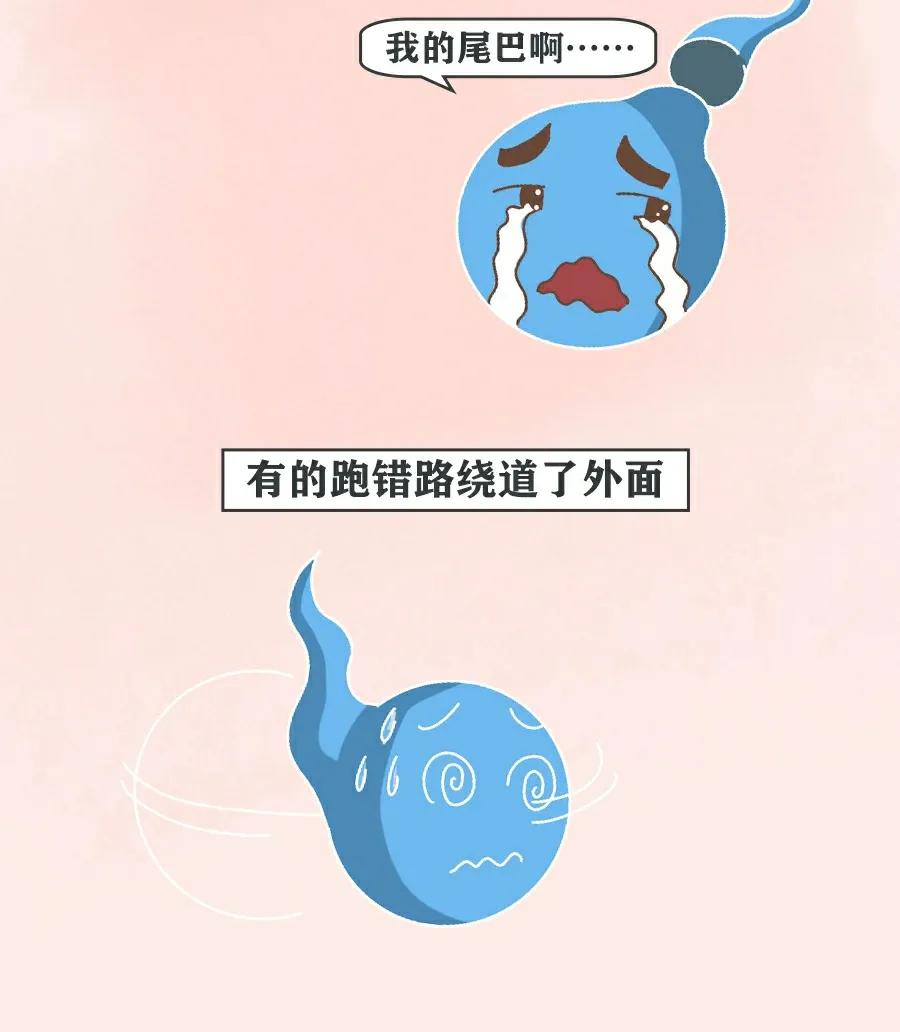 当精子进入女生体内后，会发生什么变化？不要羞于了解！