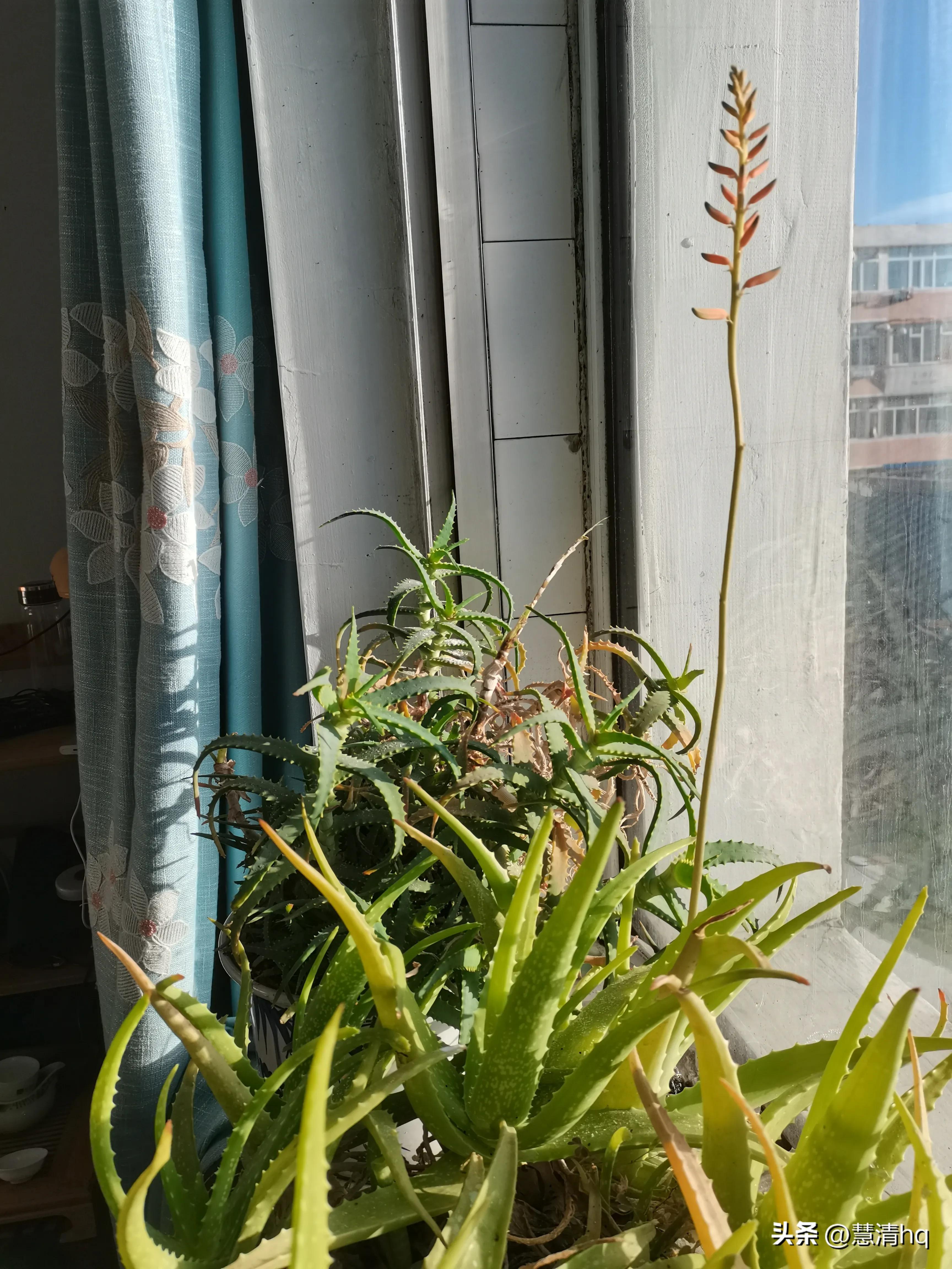 骗子拿100元买一包45元的香烟,香烟高买低卖背后有猫腻