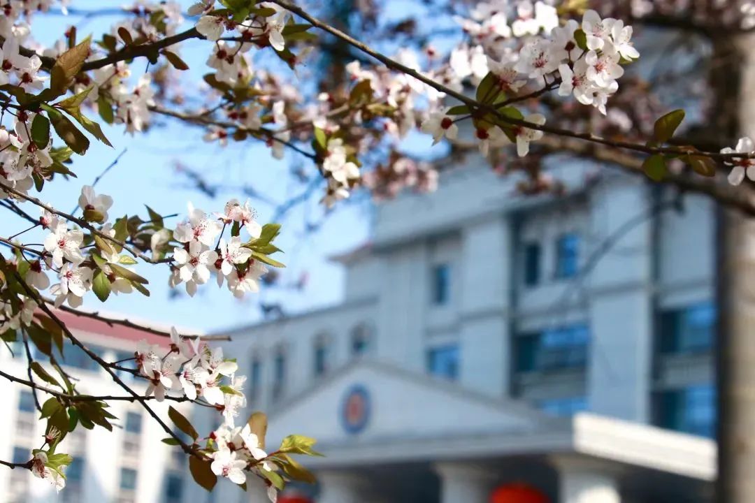 在成都读大学好就业吗,在成都读研究生是什么体验