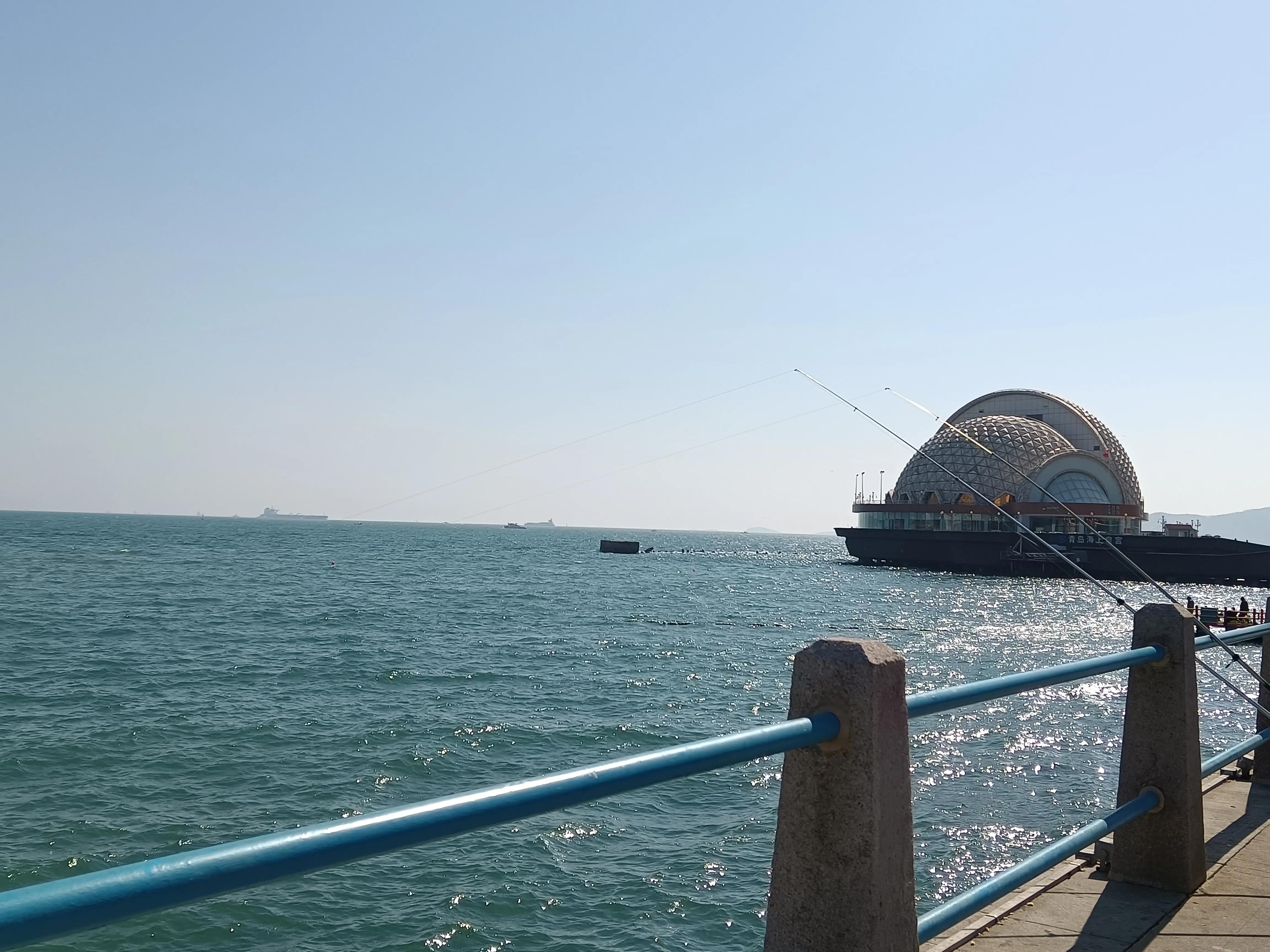 海鸥和海浪的声音,大海海浪海鸥视频