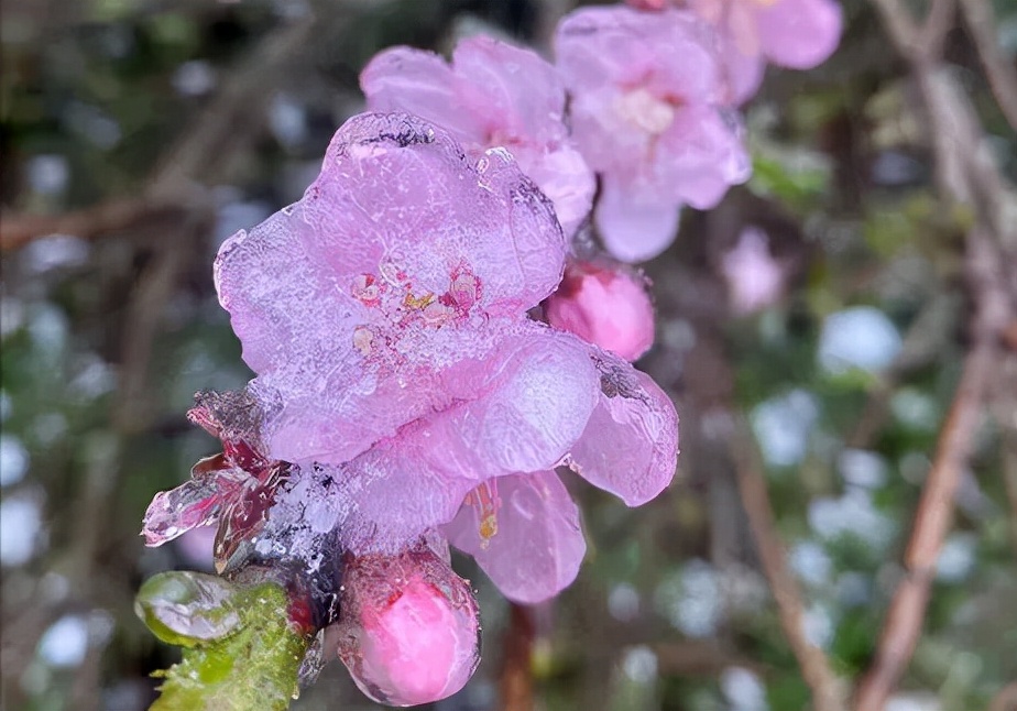 云南开远市下雪吗,开远多少年没下雪了