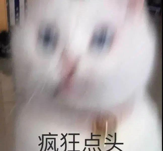 回顾：目瞪口呆！半夜两点，她拍了一张裸照并发送给陌生男人