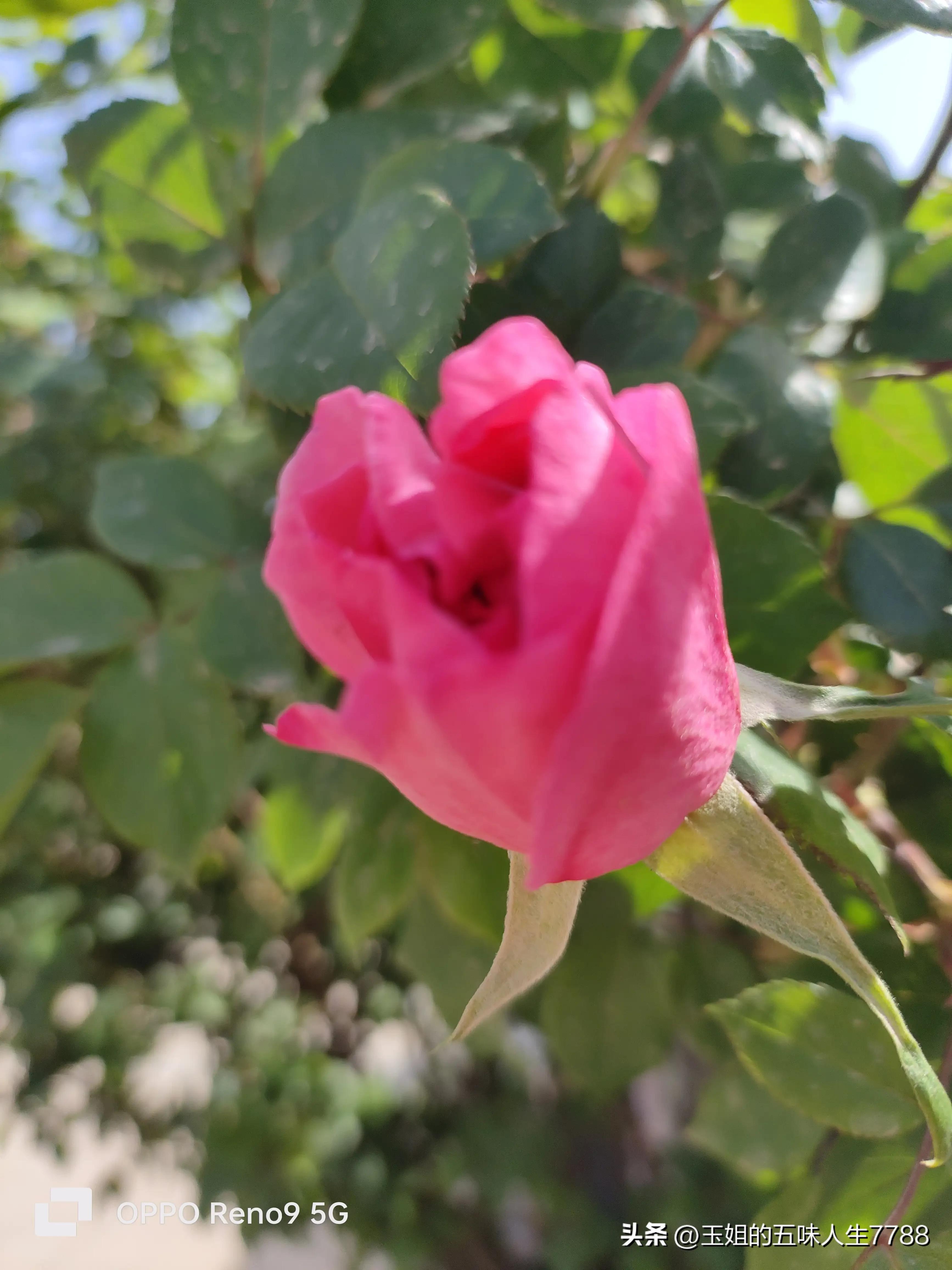 睡觉前躺着玩手机危害有多大,孕妈玩手机对孩子的危害