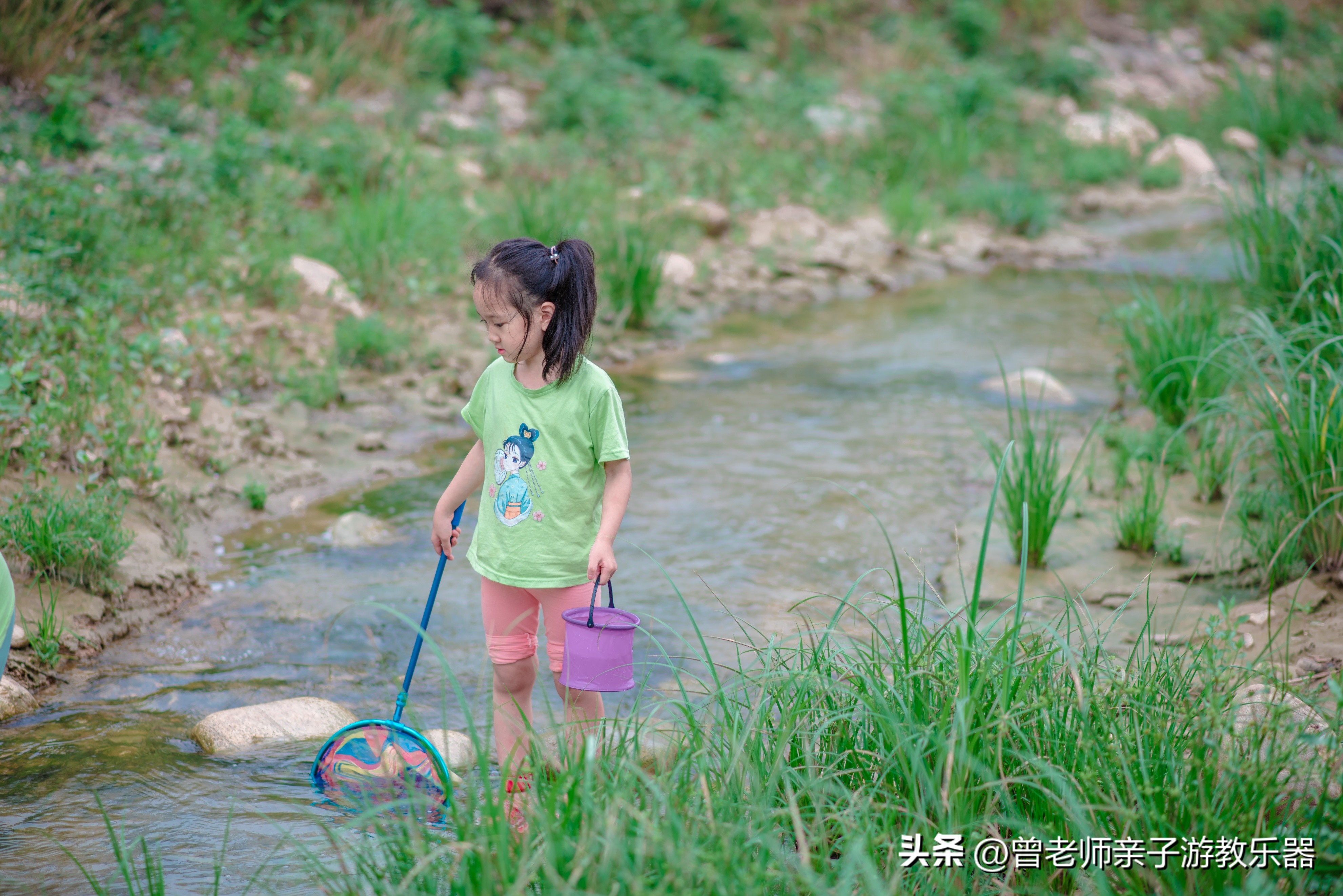 西安旅游景点免费推荐一日游攻略,西安旅游必去景点推荐一日游免费